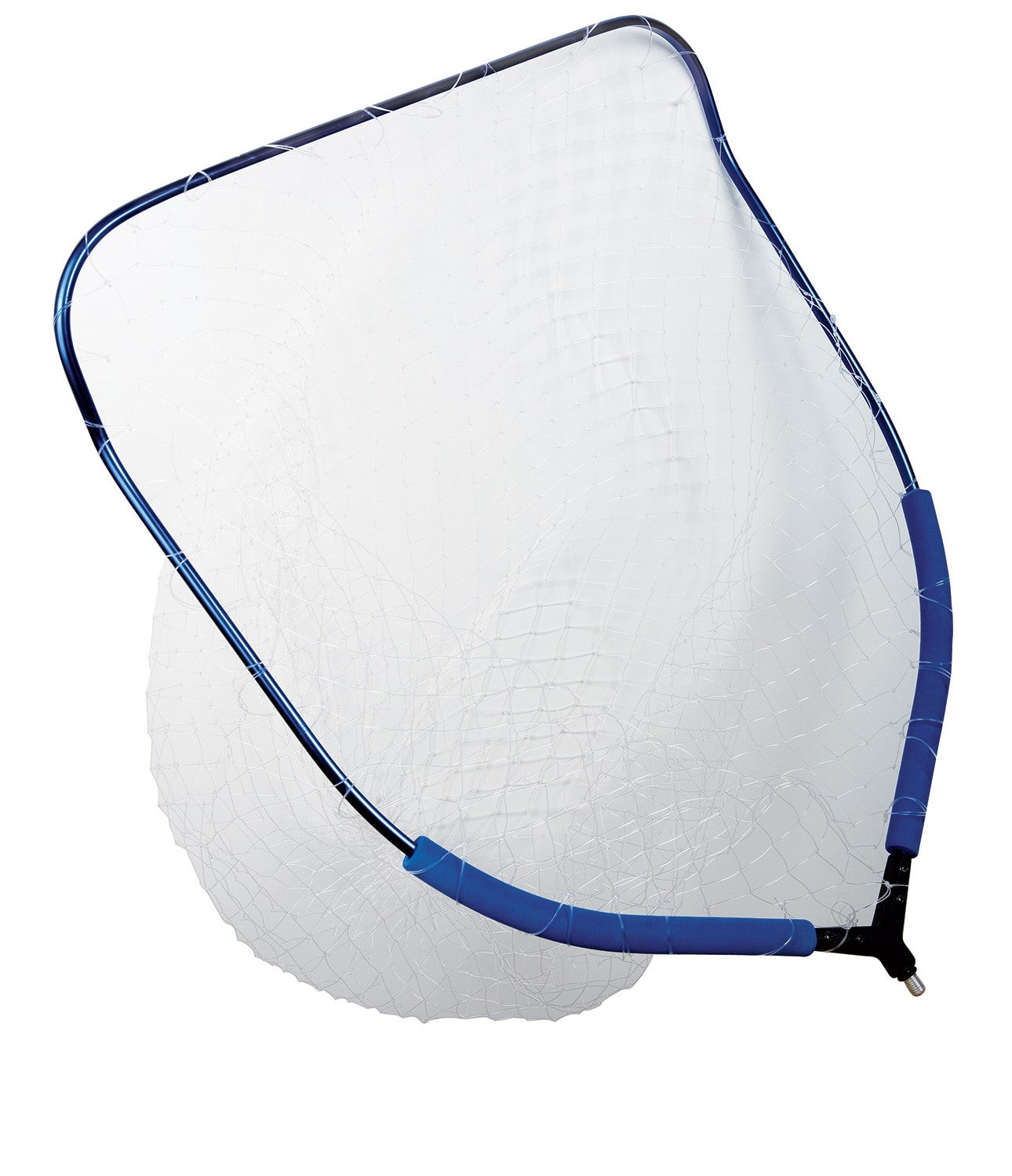 Lineaeffe Kescher Kopf Posen2