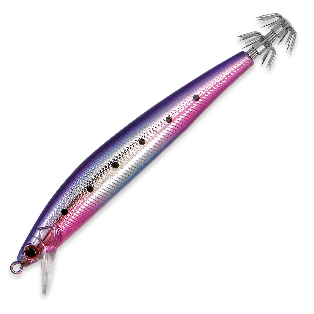 Nomura Ika-Calamari - MOQ 5