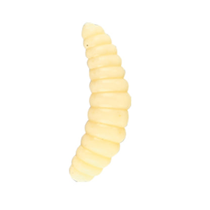 Nomura Honey Worm - MOQ 5