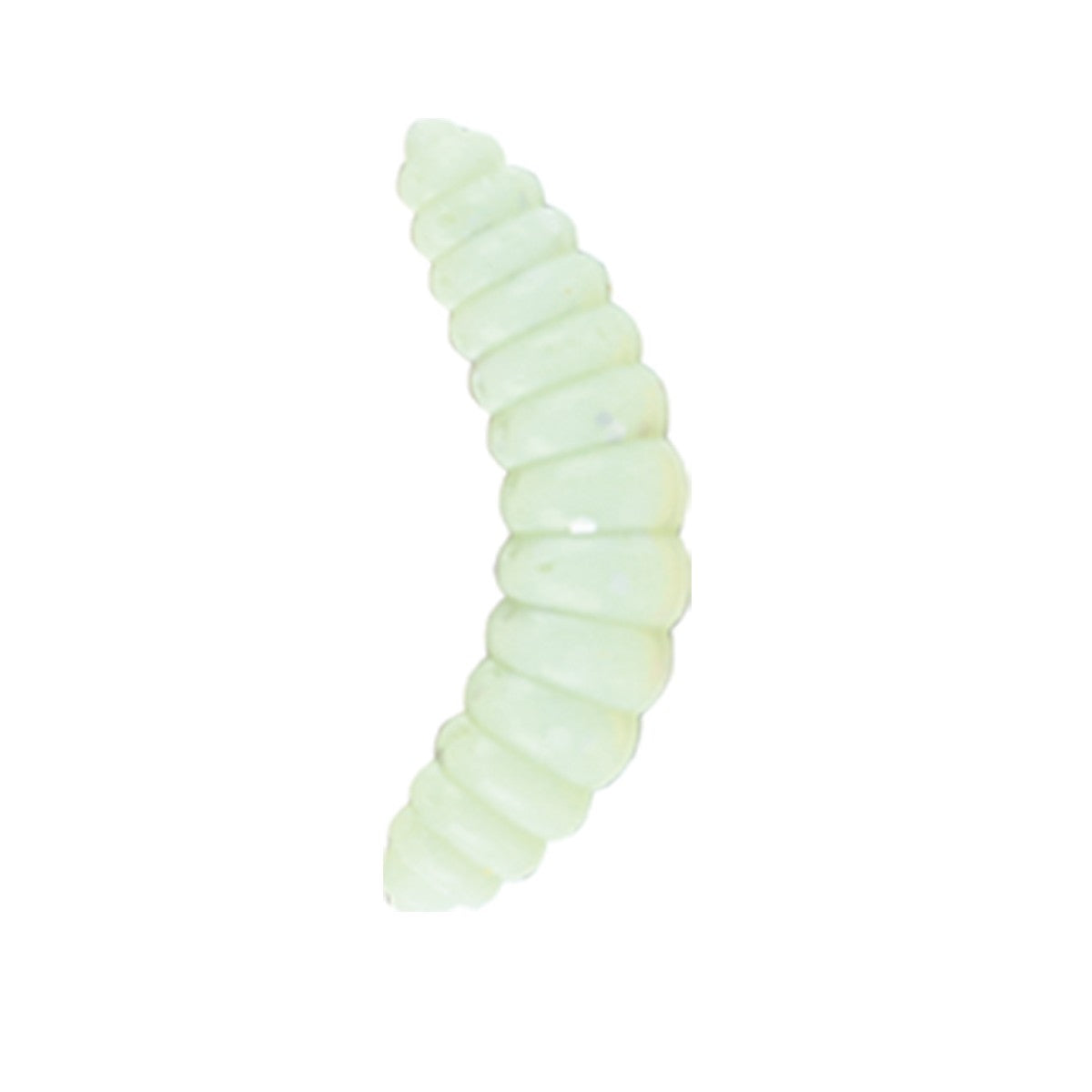 Nomura Honey Worm - MOQ 5