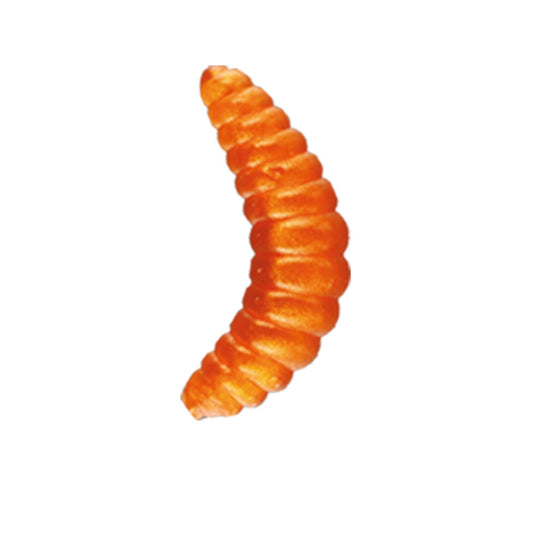 Nomura Honey Worm - MOQ 5