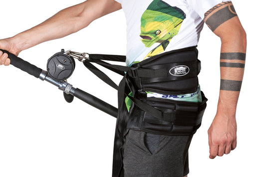 Ceinture rénale