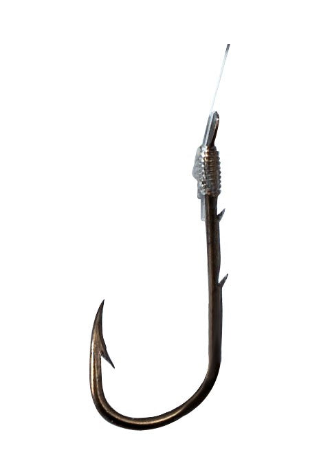 Booklet x 10 hooks Worm