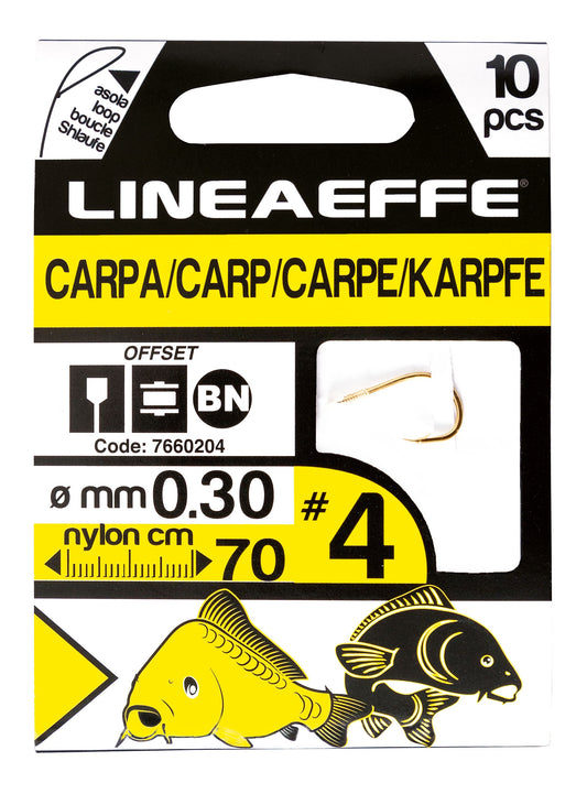 "BOOKLET X 10 HOOKS MOD. "CARP""