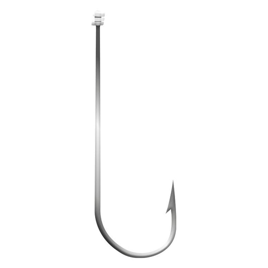 10 ami legati Saltwater